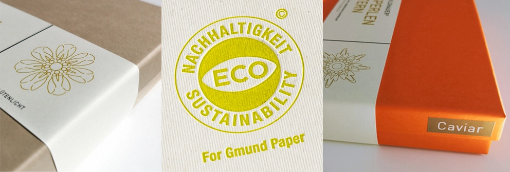 eco-2024-01-2